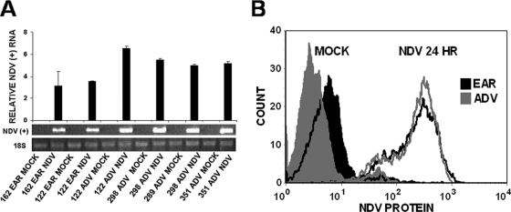 FIG. 6.