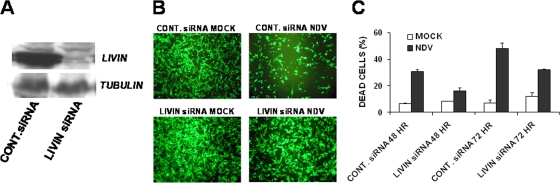 FIG. 4.