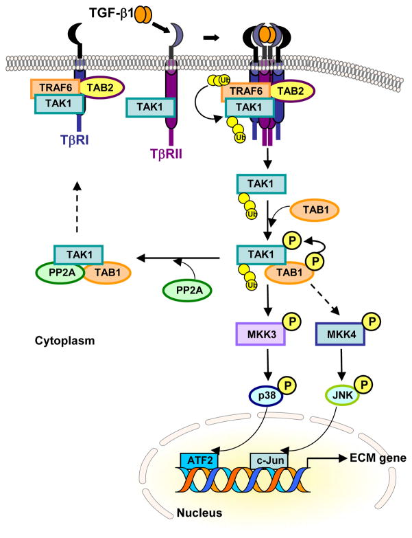 Fig. 2