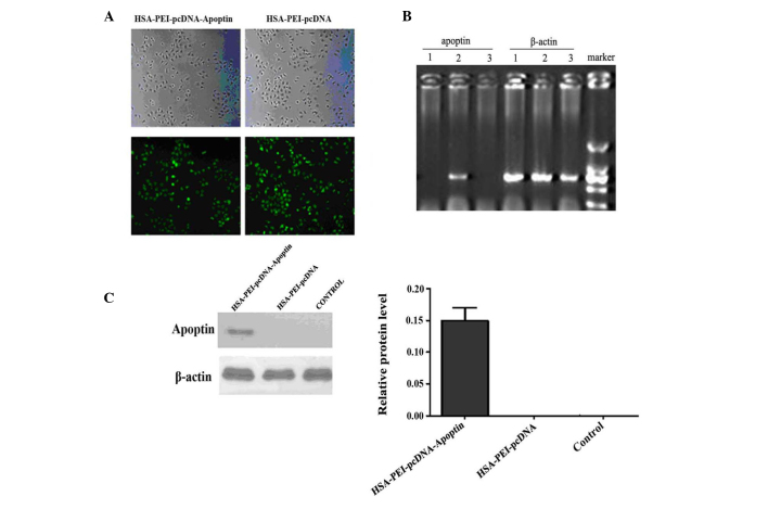 Figure 2.