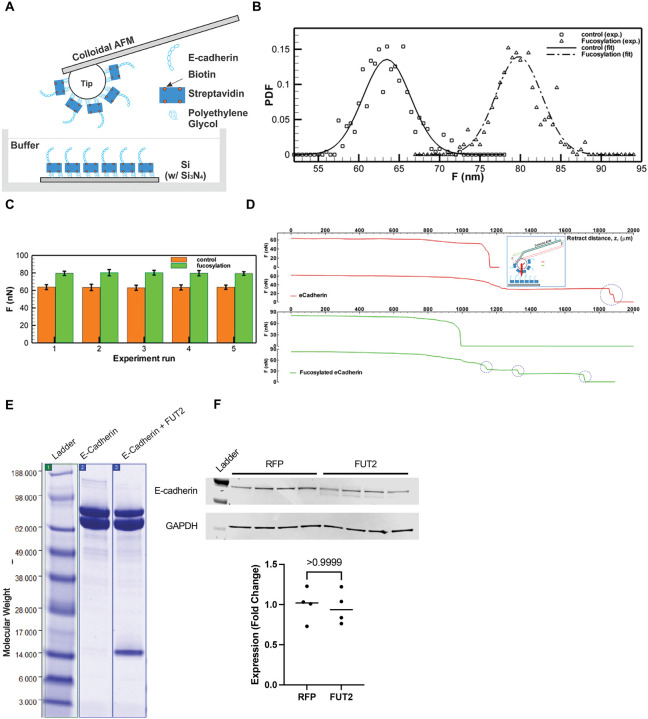 Figure 2: