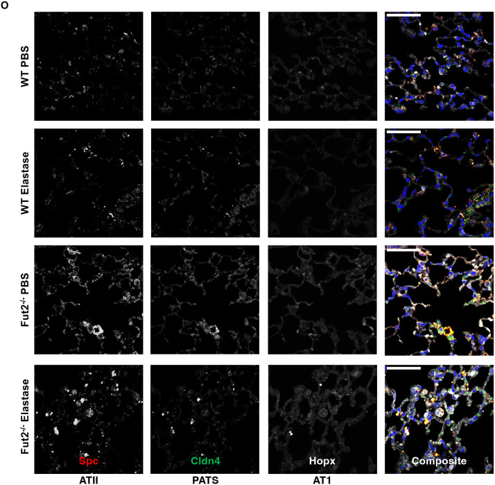 Figure 6: