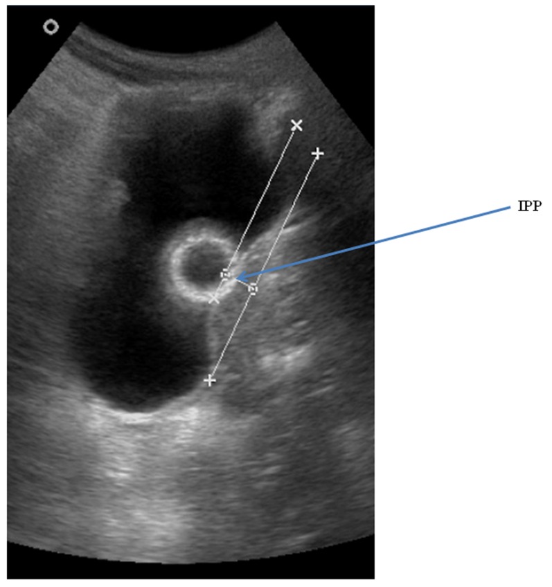 Figure 1: