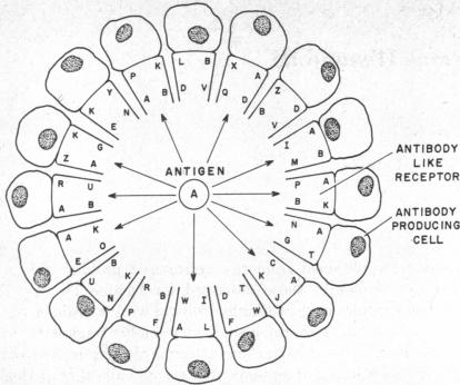 graphic file with name pnas00130-0111-a.jpg