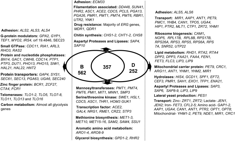 FIG 1 