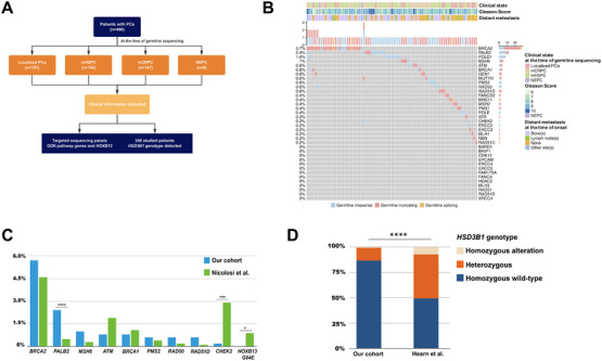 The prevalence and clinical implication of rare germline deleterious ...