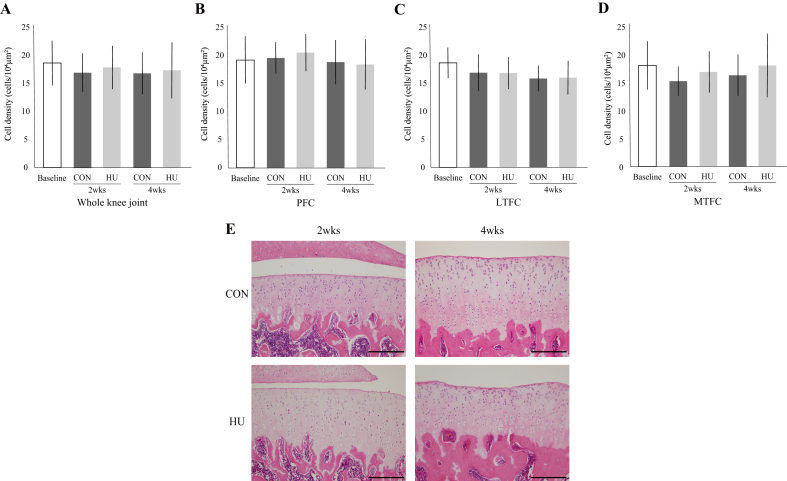 Fig. 4