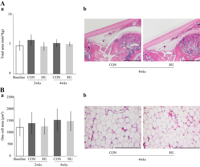 Fig. 7