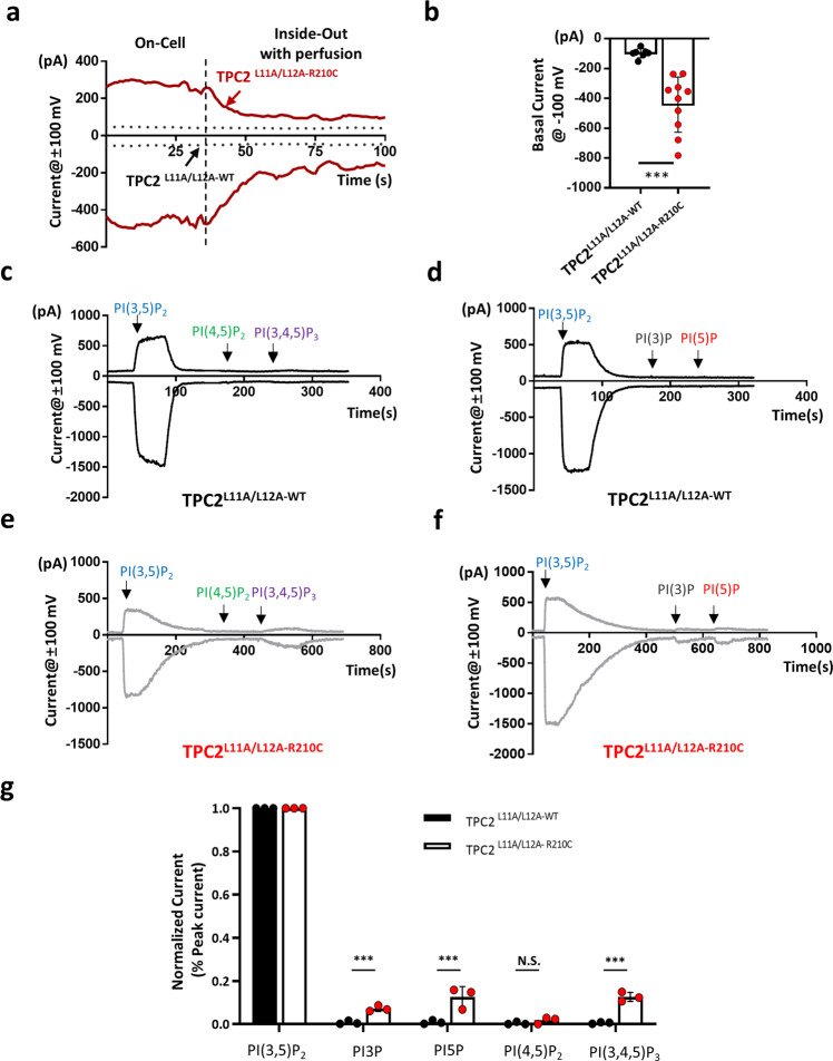 Fig. 4