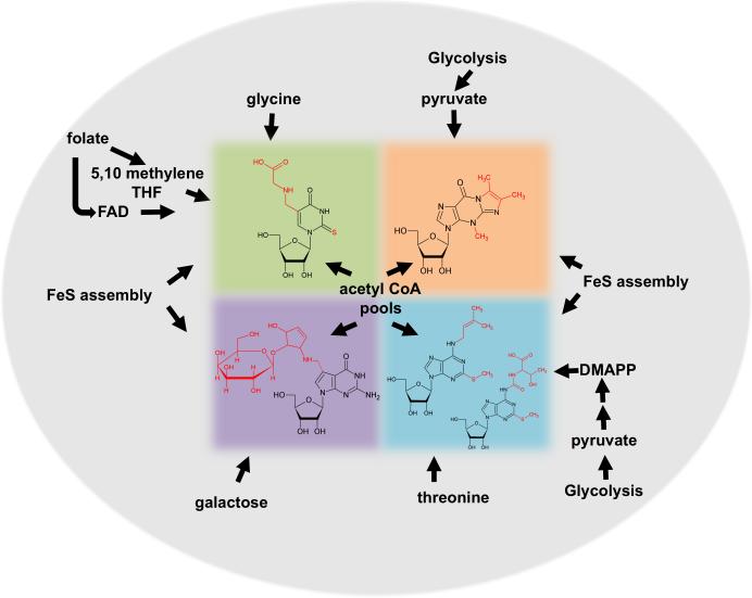 Figure 5