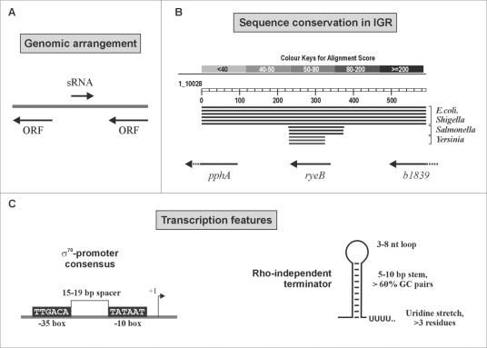 FIG. 7.