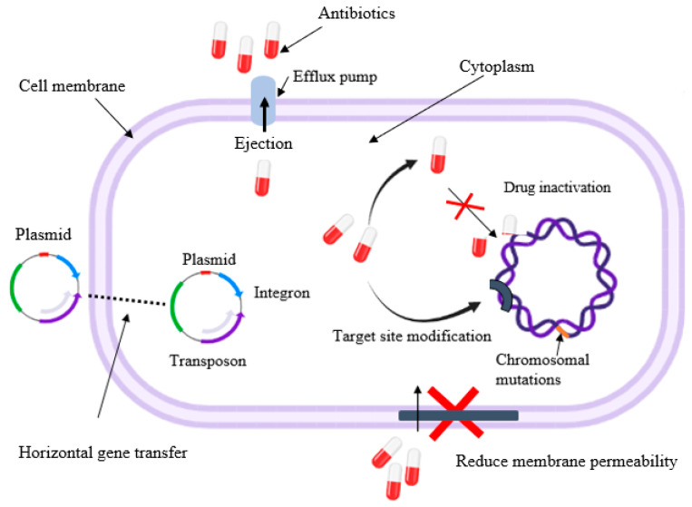 Figure 6