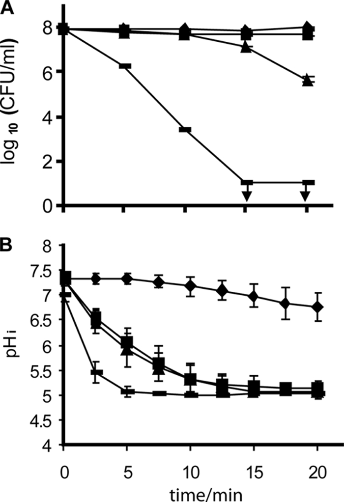 FIG. 3.