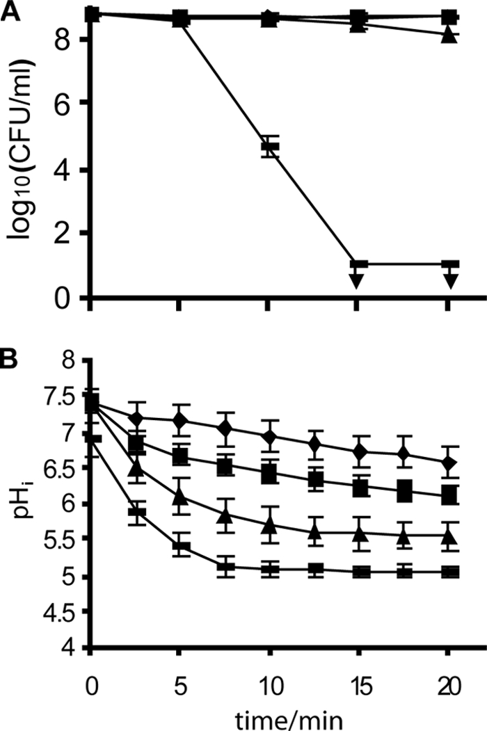 FIG. 4.