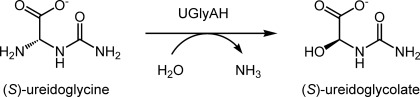 SCHEME 1.