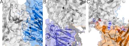 FIGURE 2.