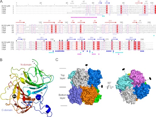 FIGURE 1.