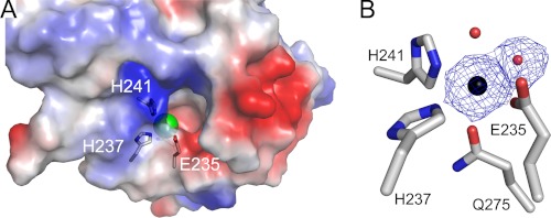 FIGURE 3.