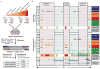 Extended Data Figure 1