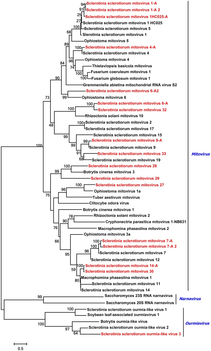 Figure 6