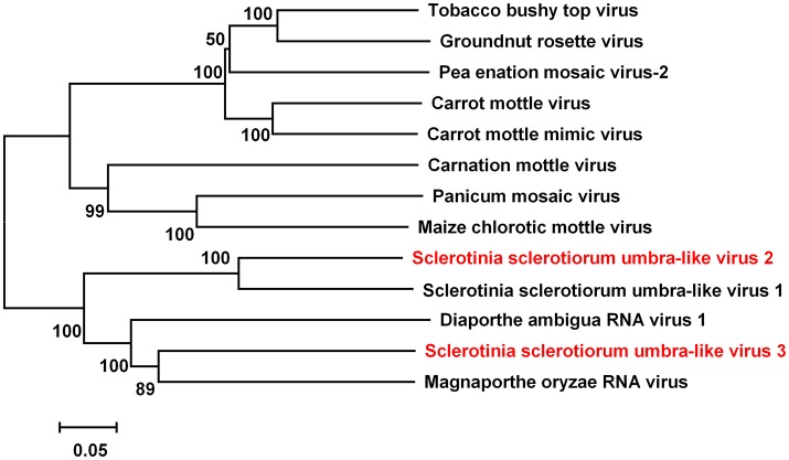 Figure 7