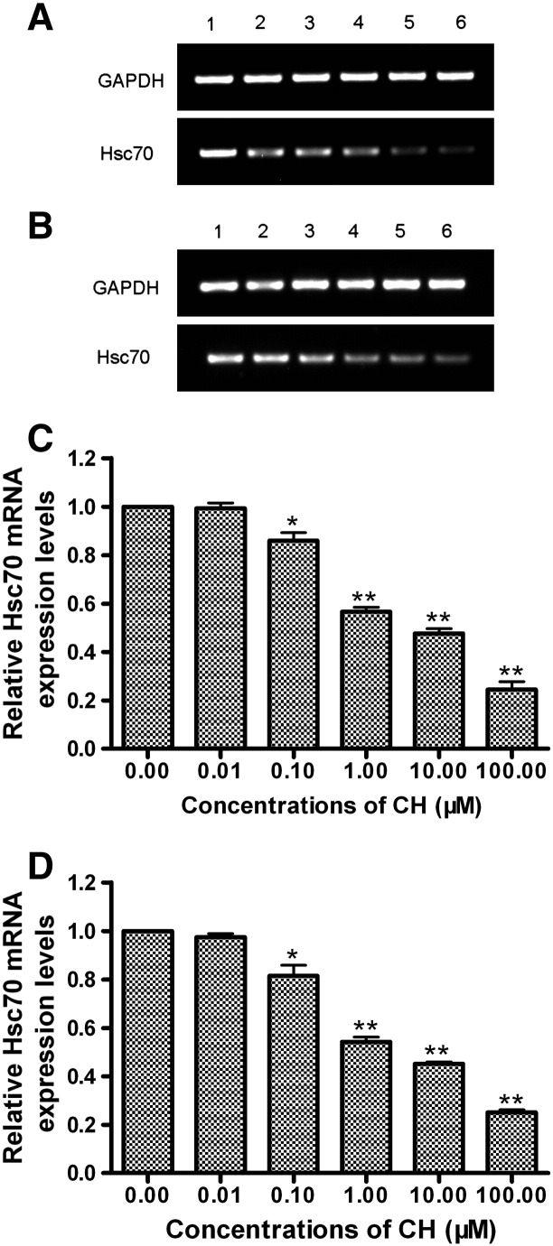 Fig. 4