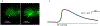 Figure 5: