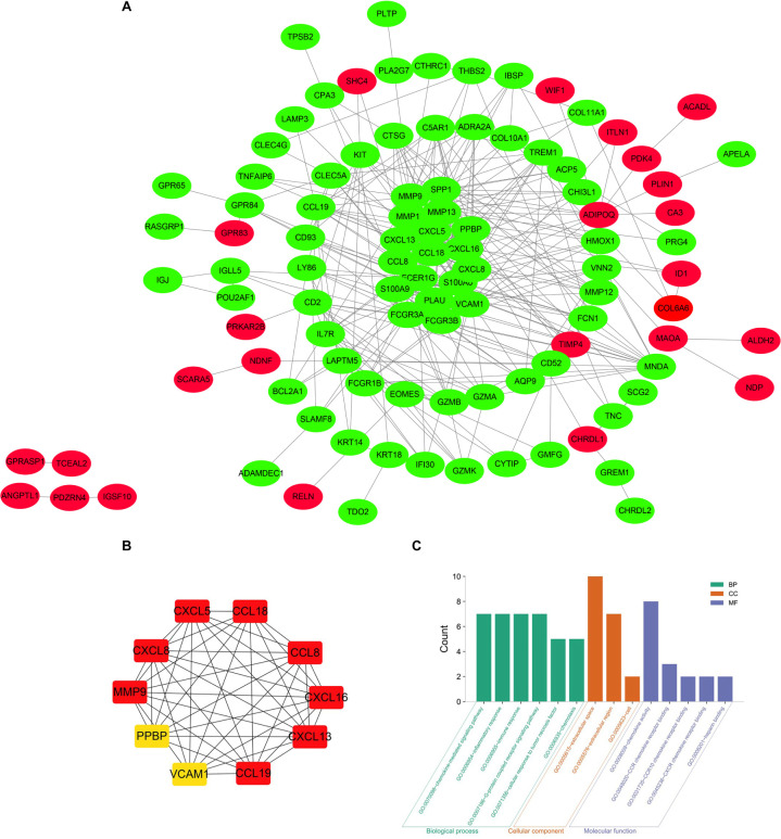 FIGURE 4