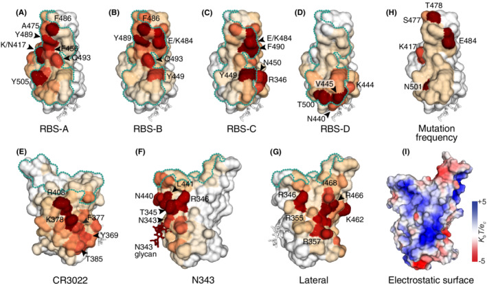 FIGURE 3