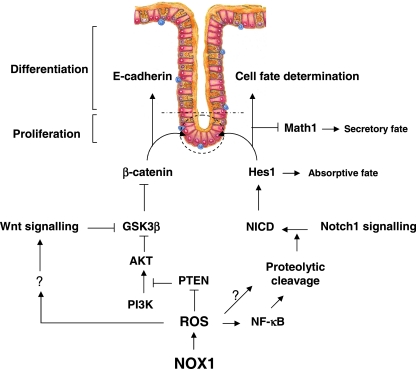 FIG. 12.