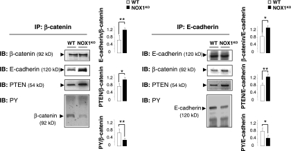 FIG. 10.