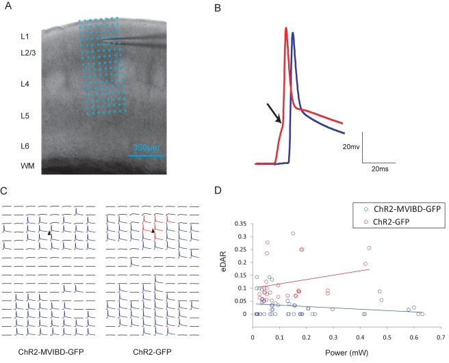 Figure 11