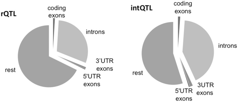 Fig. 2.—