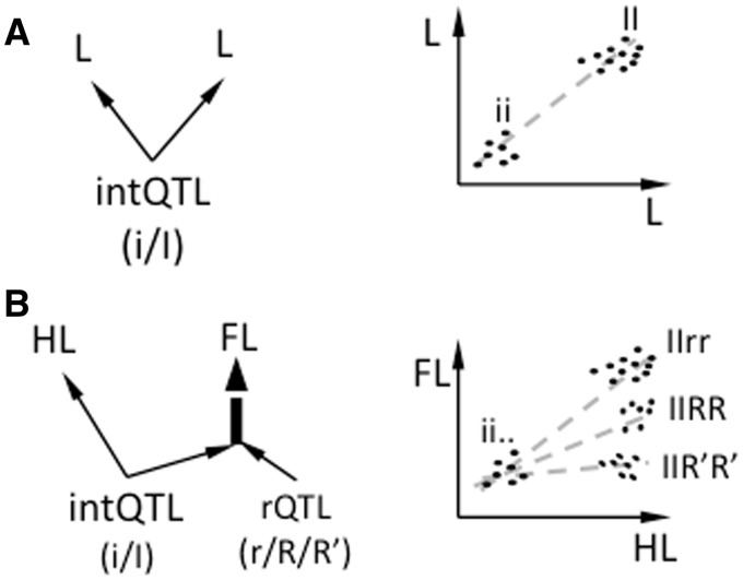 Fig. 6.—