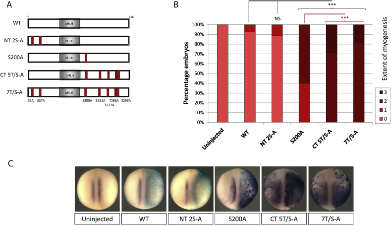 Fig. 3