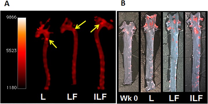 Fig 4