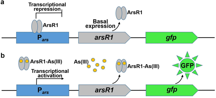 Fig. 2