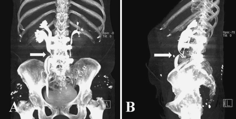 Fig. 3