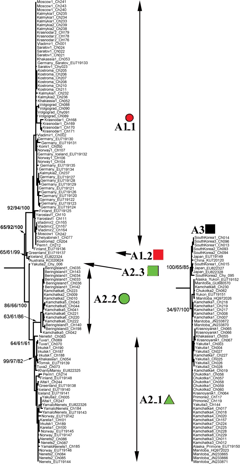 Fig 3