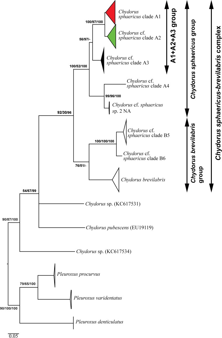 Fig 2