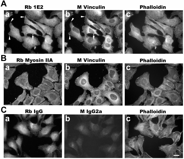 Fig 9