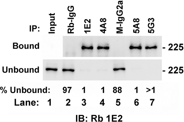 Fig 8