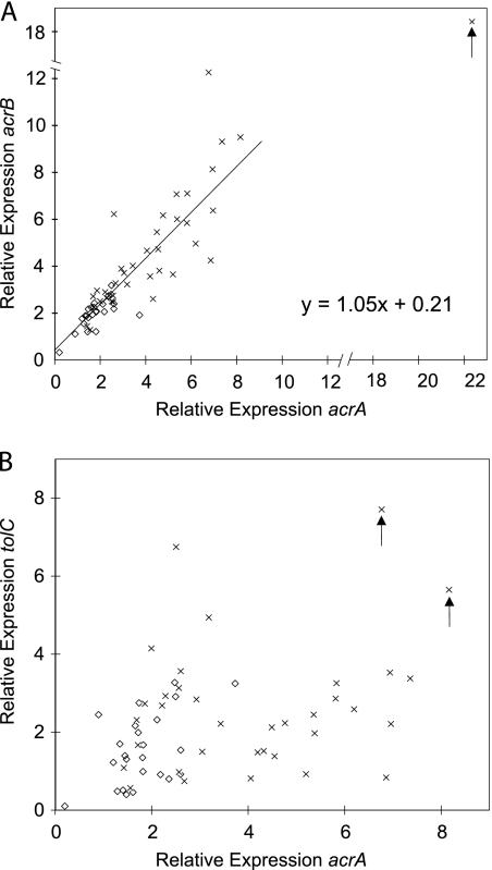 FIG. 2.