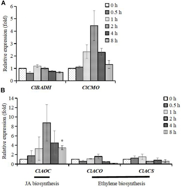 FIGURE 5