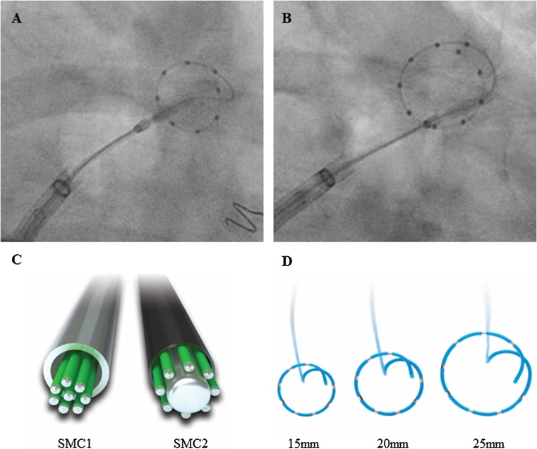 Fig. 1