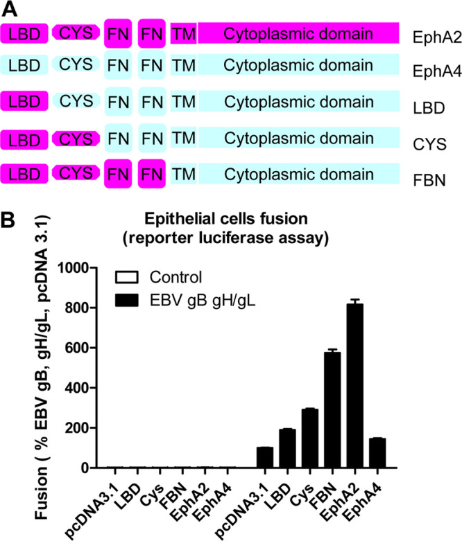 FIG 1