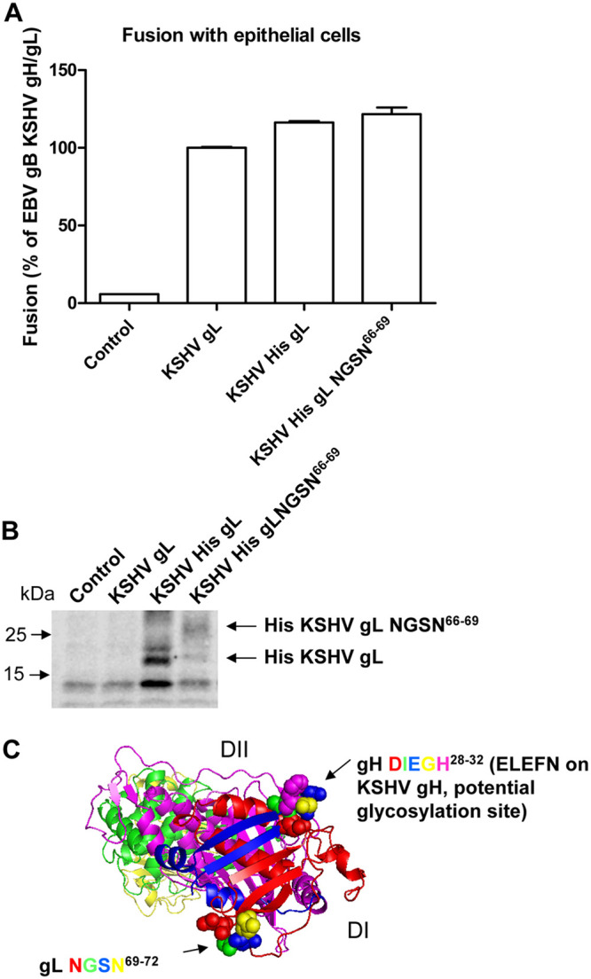 FIG 6