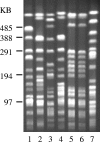FIG. 1.