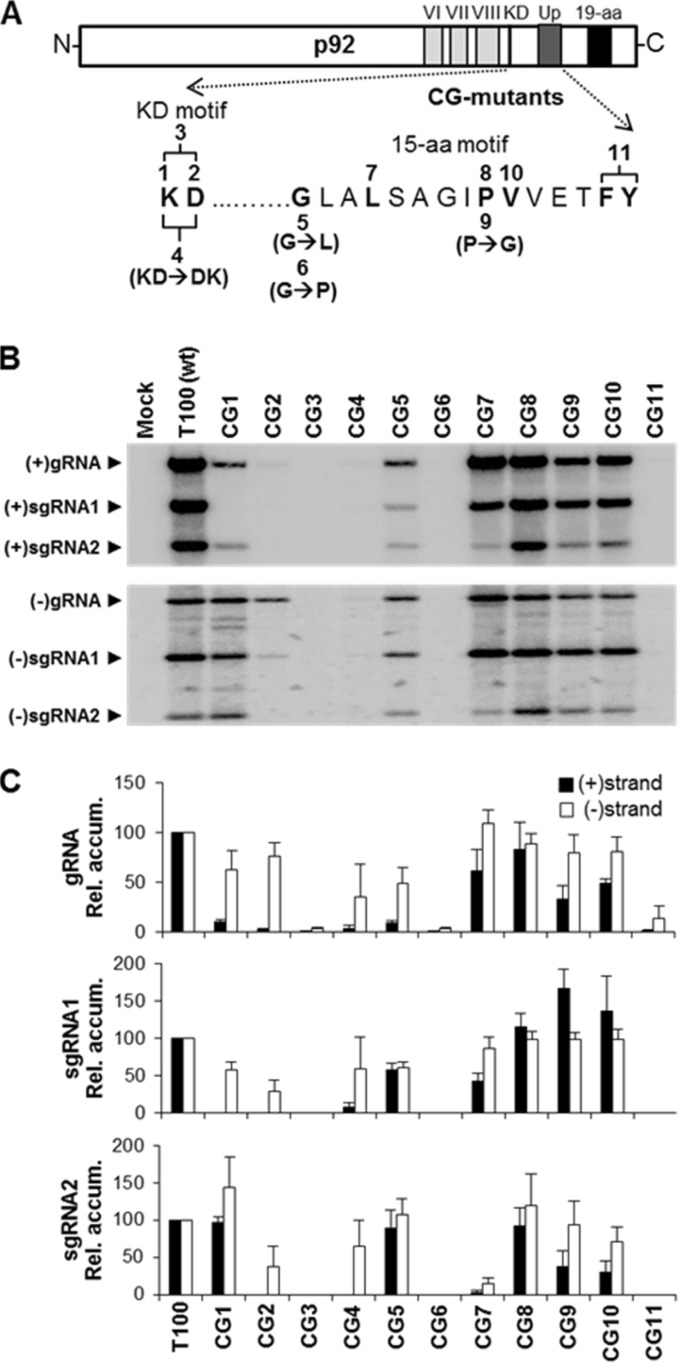 FIG 2