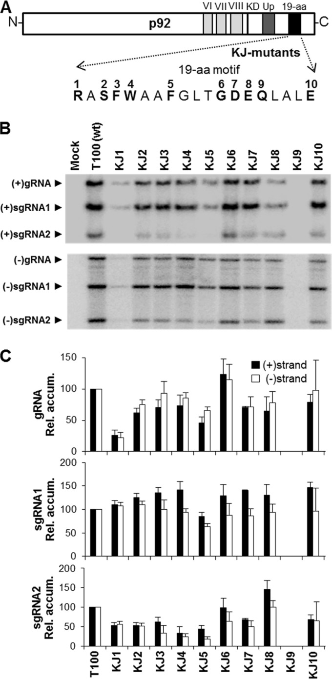 FIG 3